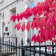 Illustration for article titled 2019-10-20 Looking for Fall Colours Around Downtown Kingston